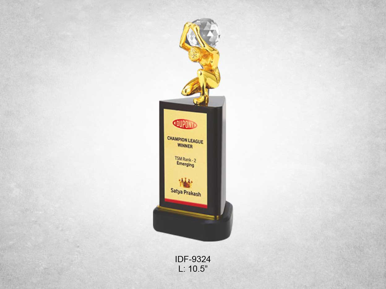 Trophy & Award IDF-9324